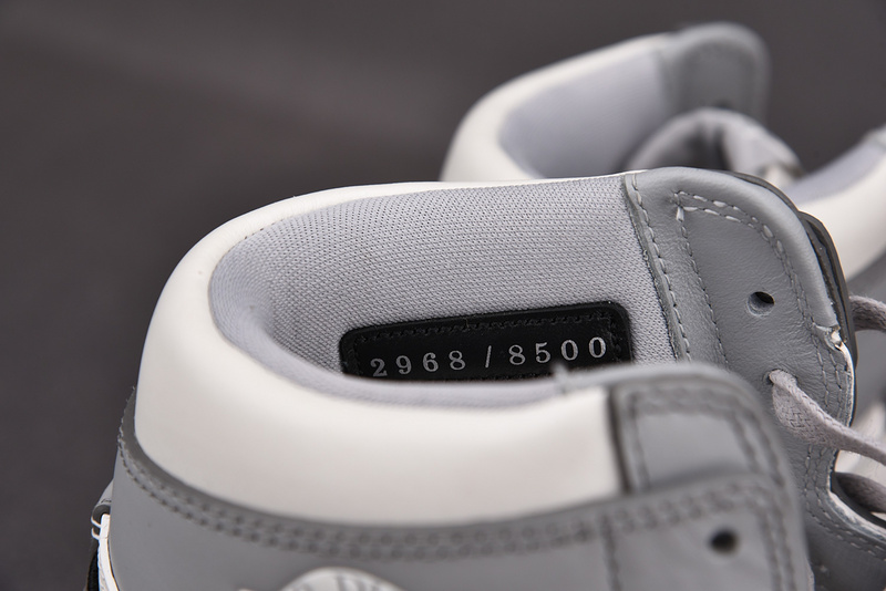 DIOR x Air Jordan 1 High OG CN8607-002