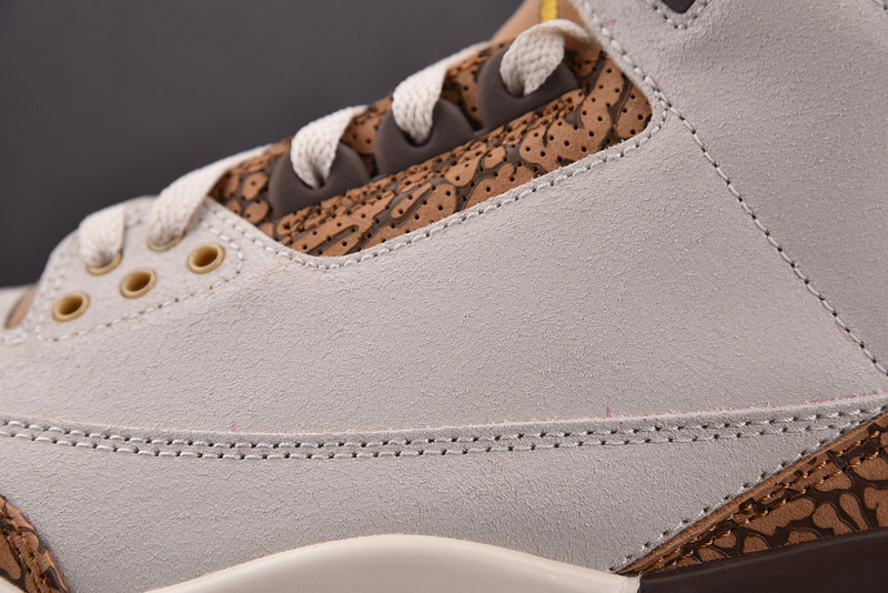 Air Jordan 3 "Palamino" CT8532-102
