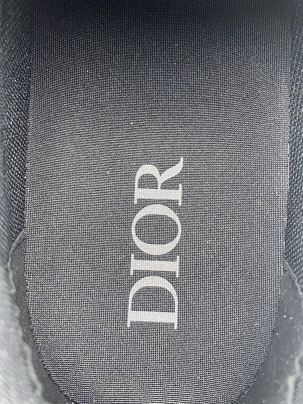DIOR B22 SNEAKER