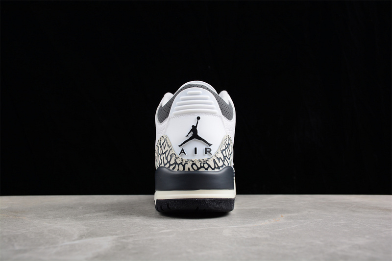 Air Jordan 3 GS Hide N