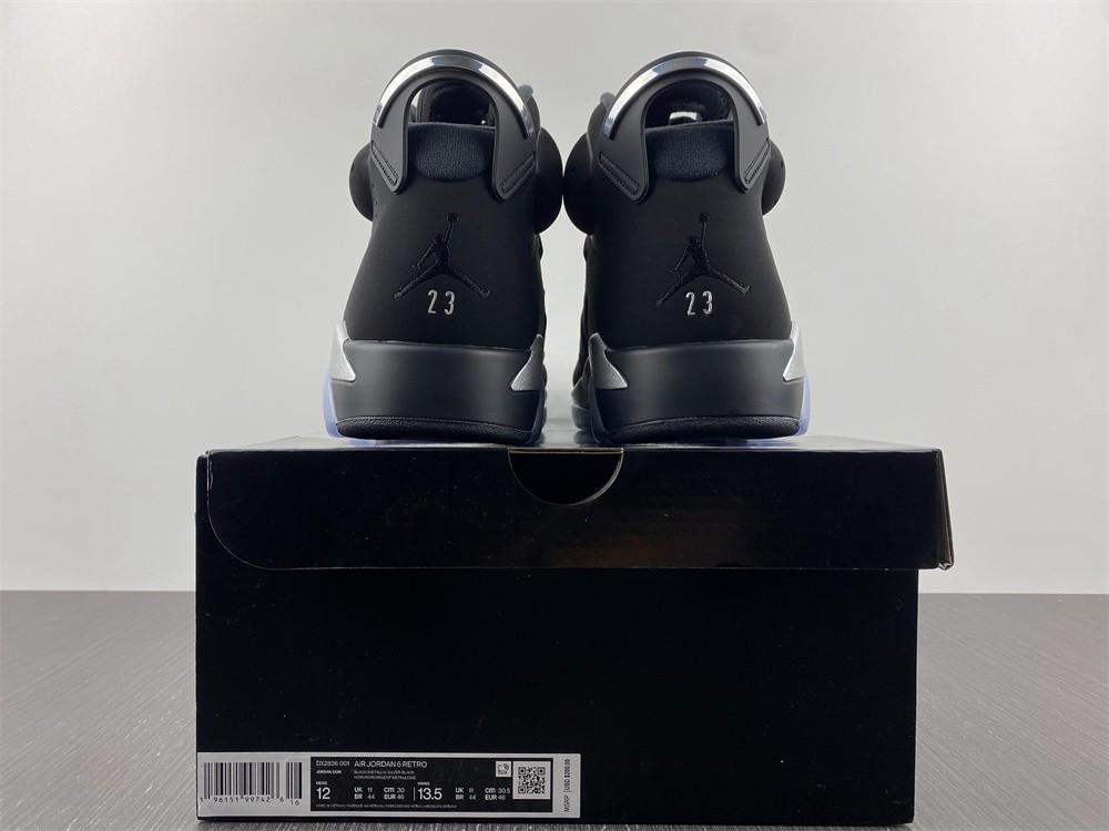 Air Jordan 6 Metallic Silver Chrome DX2836-001