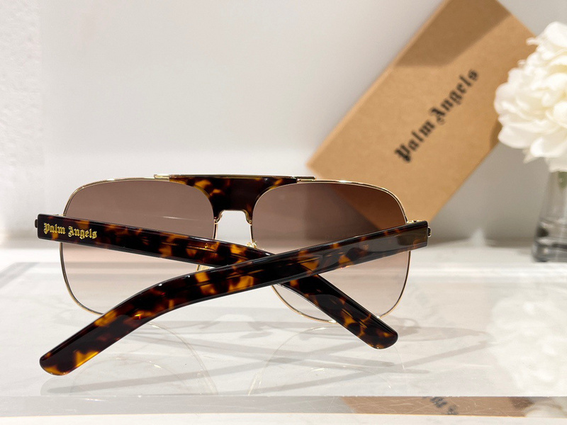 PALM ANGLES SUNGLASSES 202304007