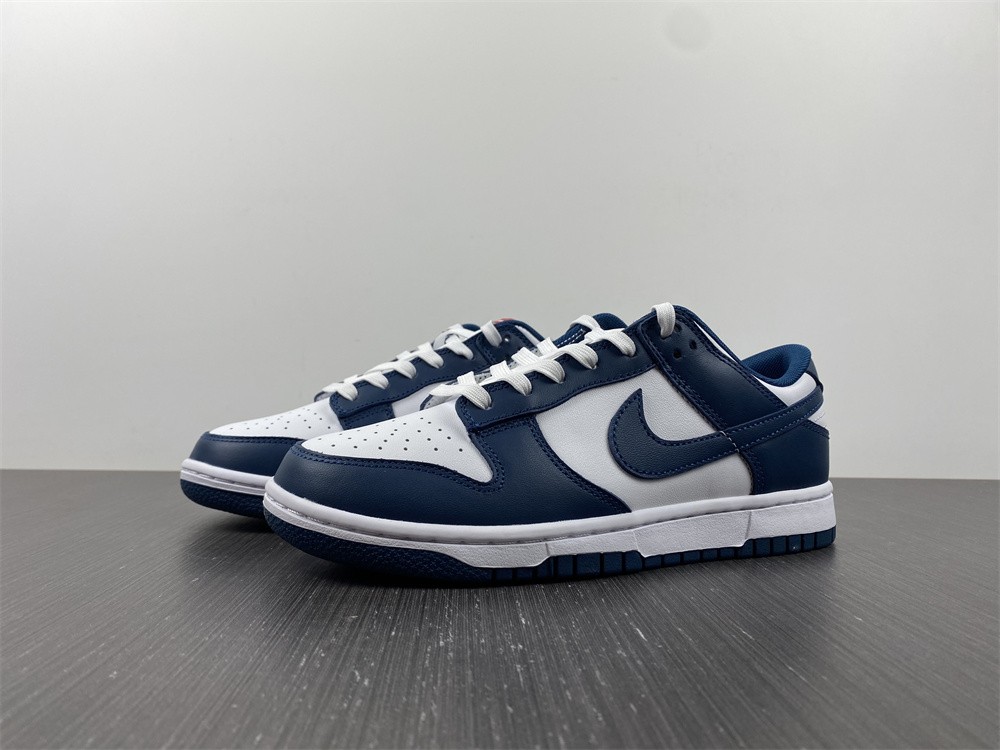 Nike Dunk Low Valerian Blue DD1391-400