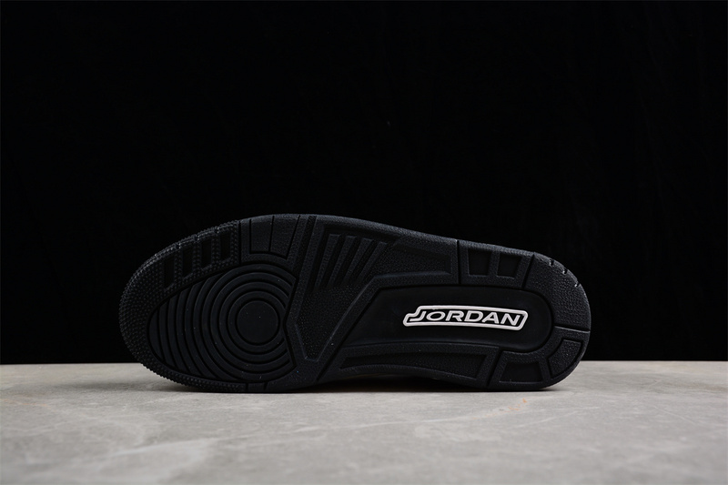 Air Jordan 3 GS Hide N