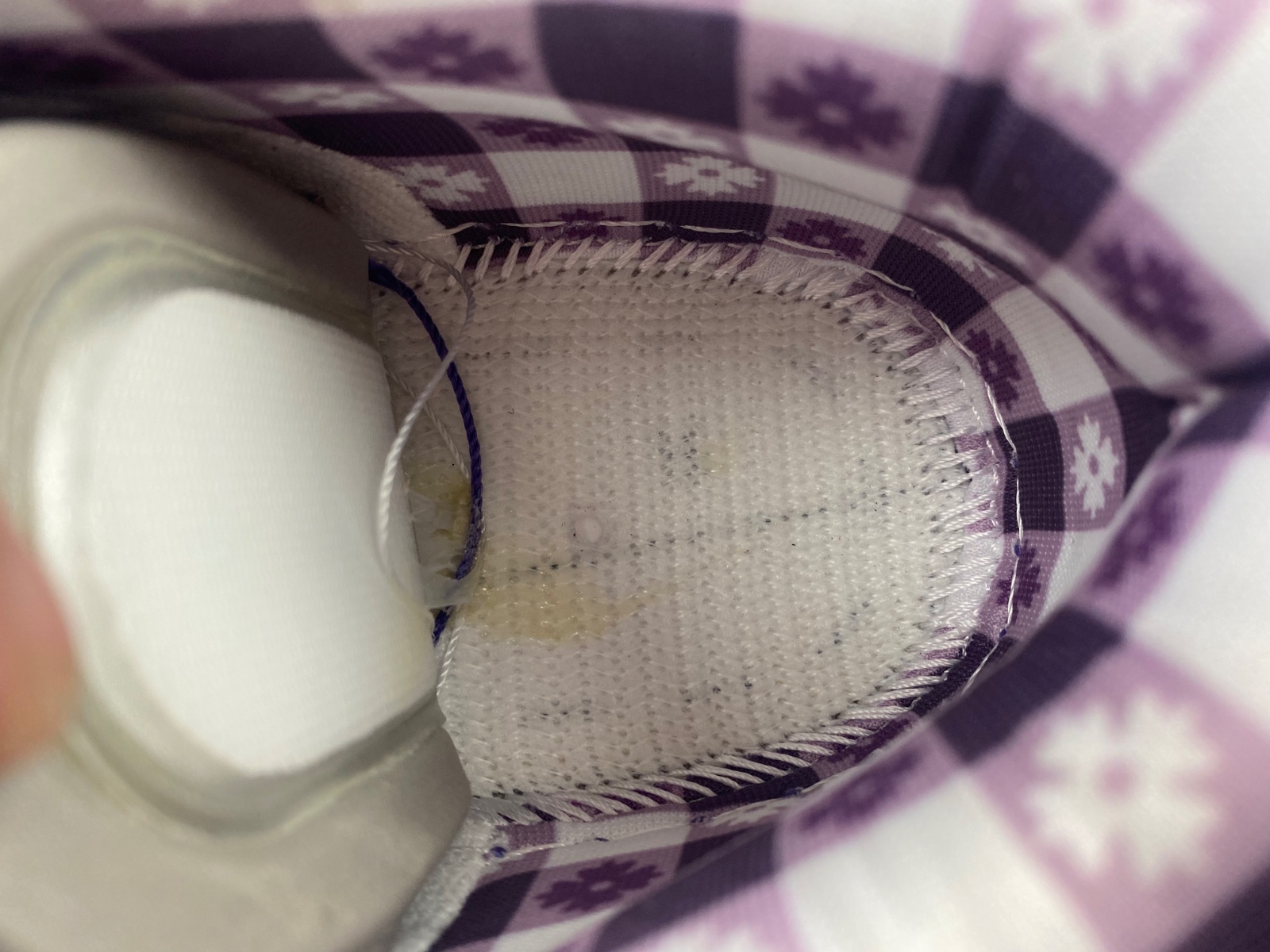 Concepts x Dunk Low SB 