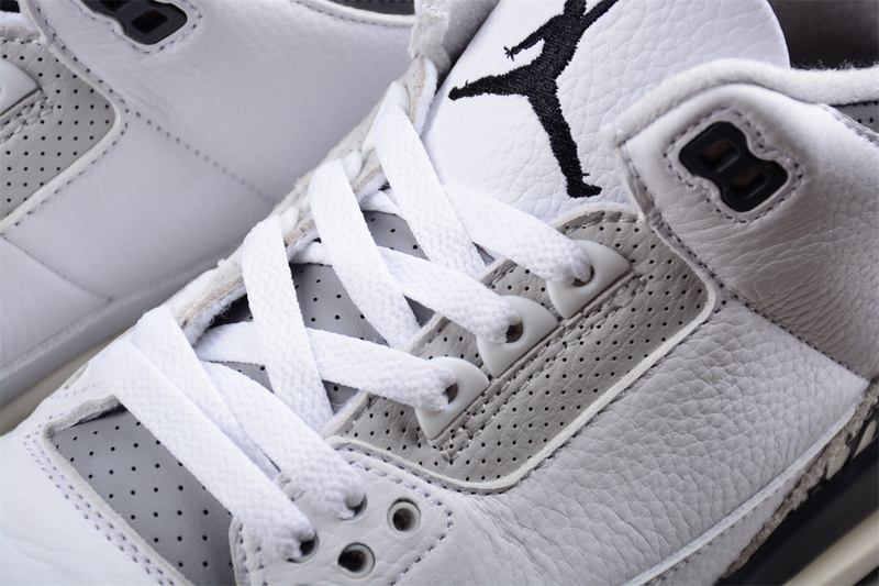 Air Jordan 3 GS Hide N