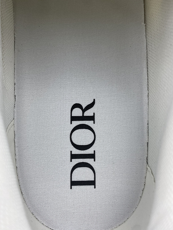 DIOR B22 SNEAKER