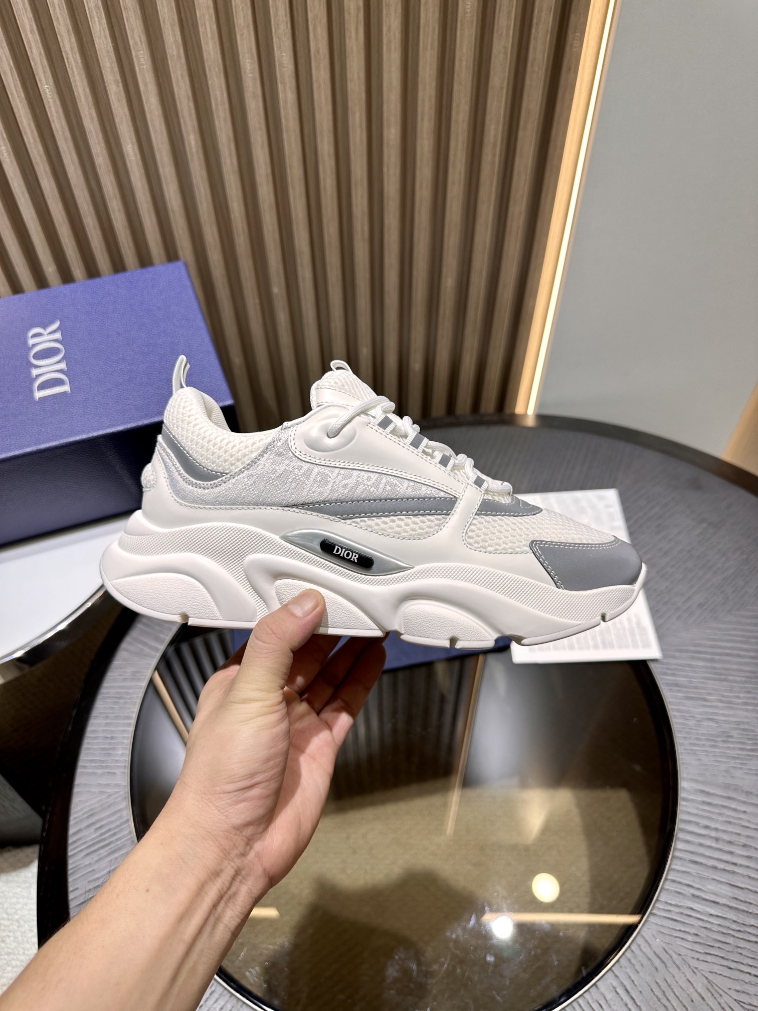 DIOR B22 SNEAKER