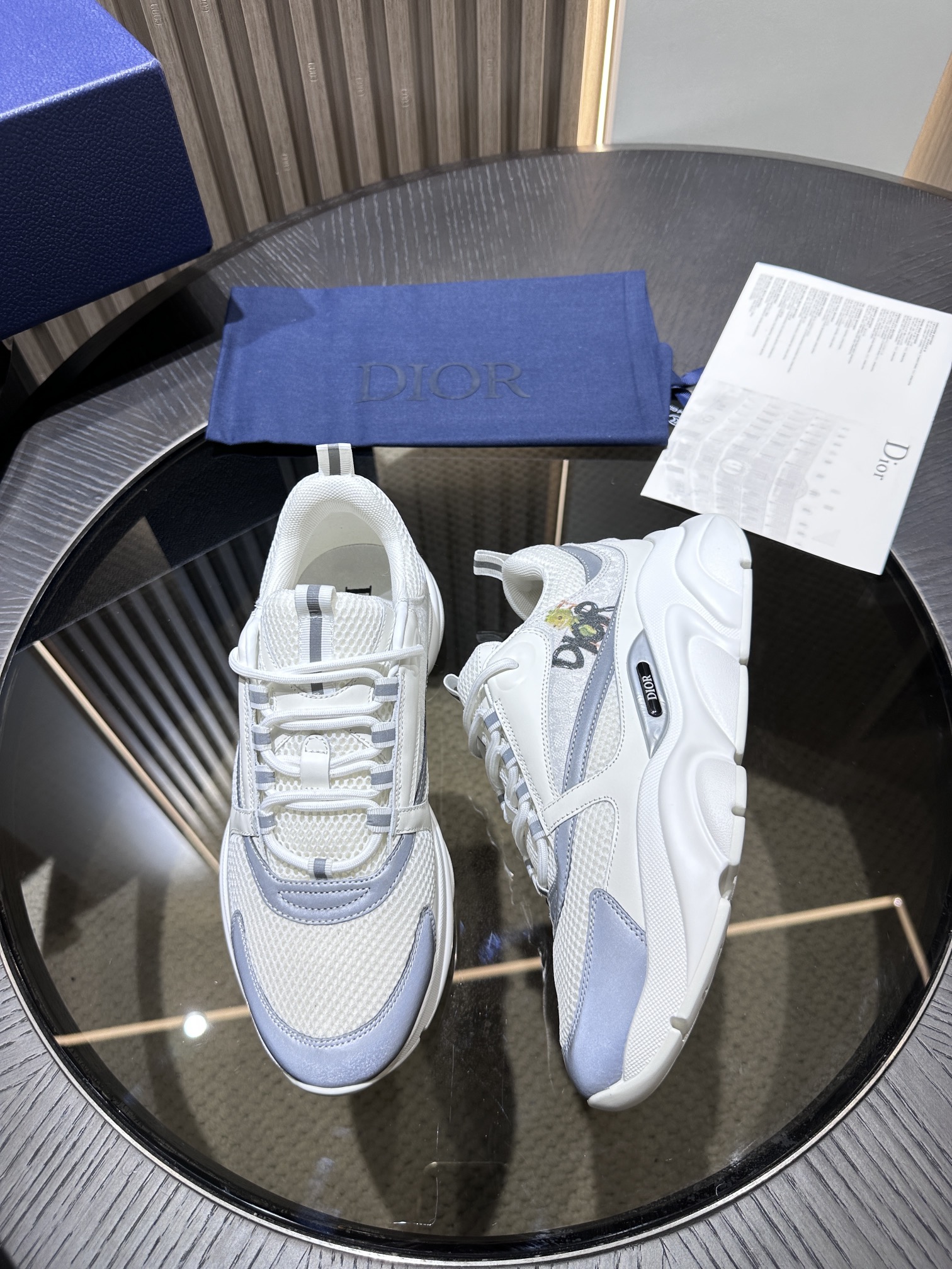 DIOR B22 SNEAKER