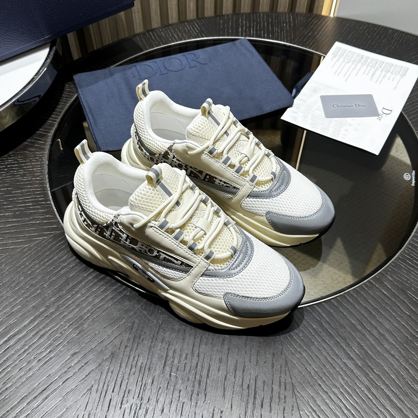 DIOR B22 SNEAKER
