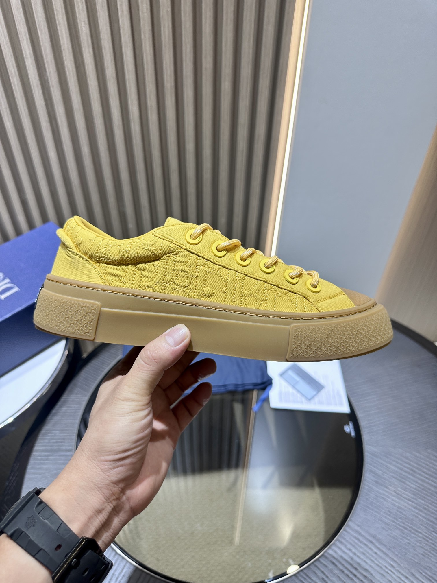 DIOR B33 SNEAKER